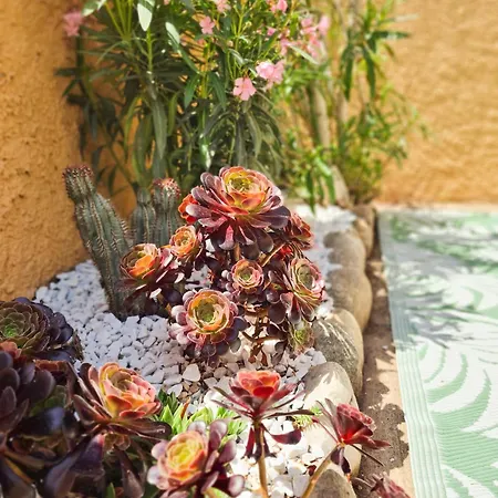 L'occitane Casa vacanze Fitou