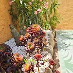 L'occitane Hébergement de vacances Fitou